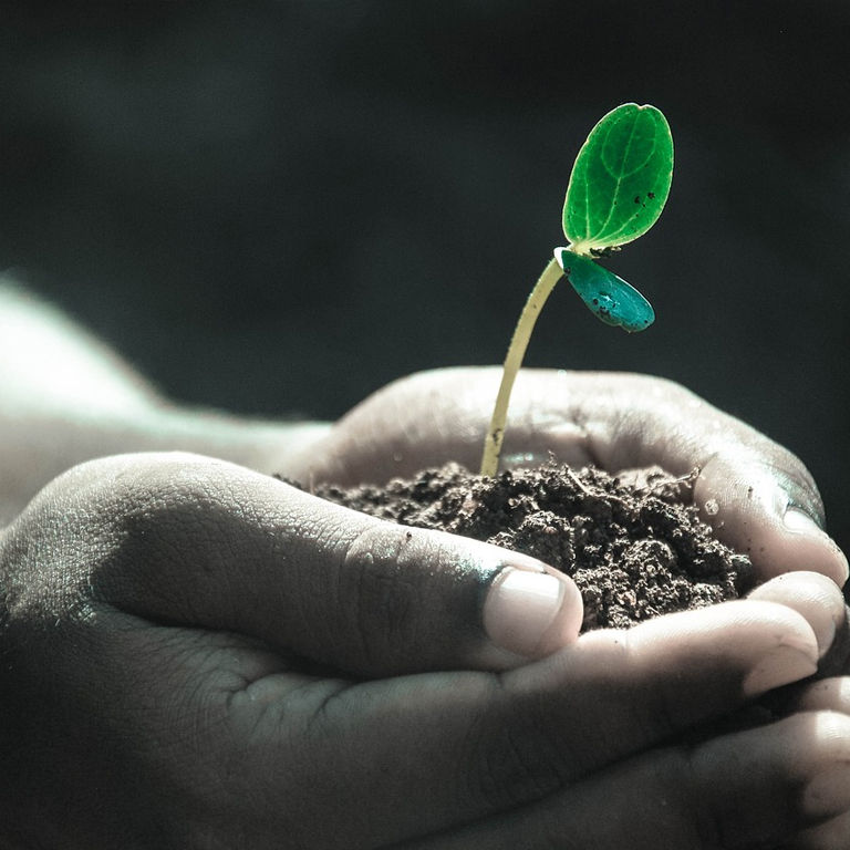 土壤污染風險管控和修復